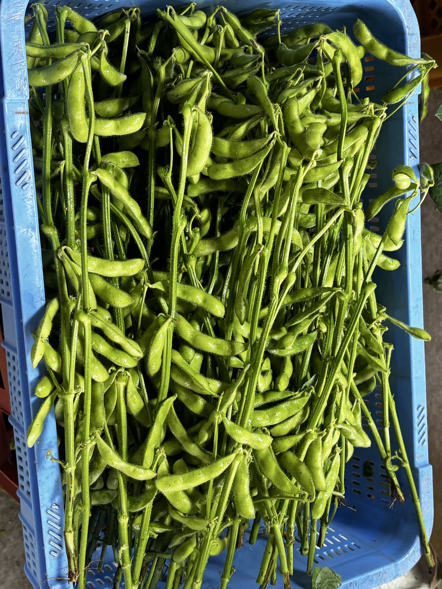 HORI-DAY ♨️🚒💨💦♨️ tweet media