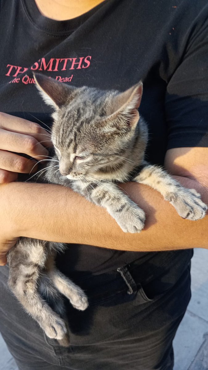 Caro Díaz 🍉 (masquebipolar) tweet media