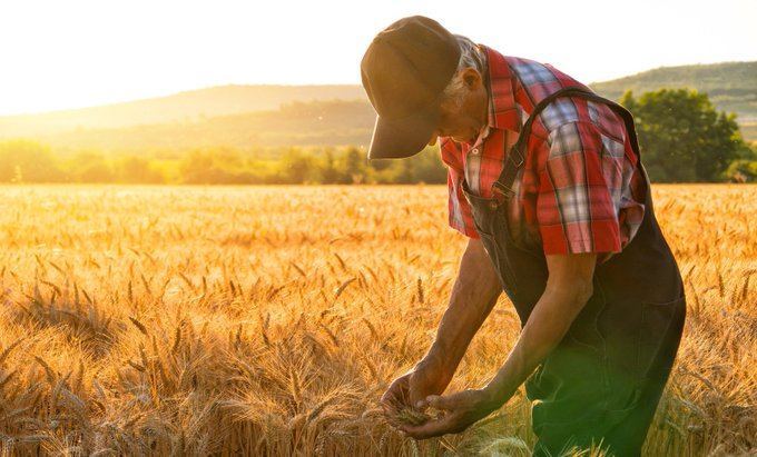 mmshouhu's tweet photo. The ripple effect of the Iran war on struggling U.S. farmers: "It couldn't have come at a worst time," reports CBS. https://t.co/gVUIq4YOcx