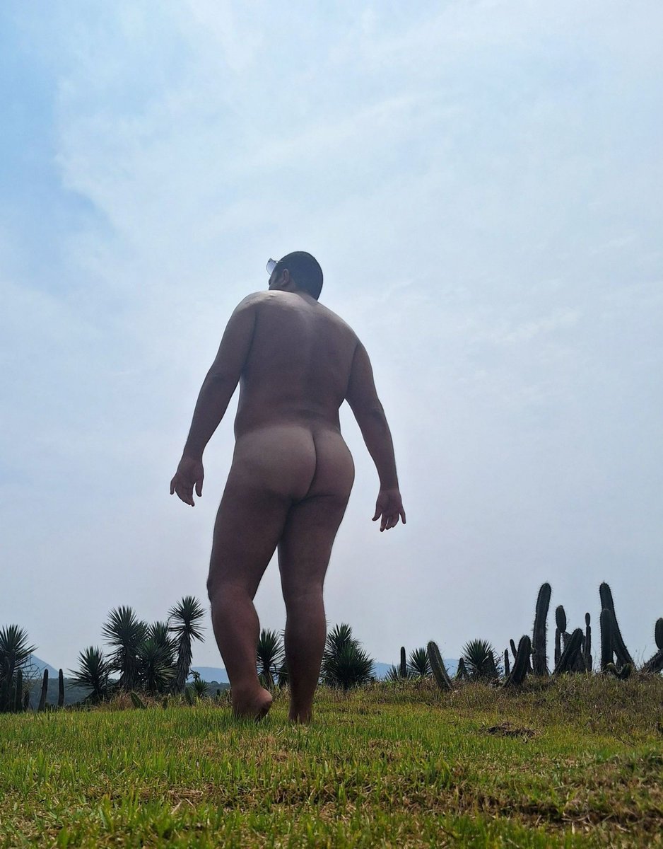 TonyManolo4's tweet photo. Perfeição em forma de bunda! https://t.co/eDVgqFzeDb