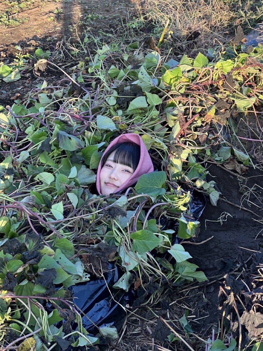 丸山ひなた（AKB48 20期研究生） tweet media