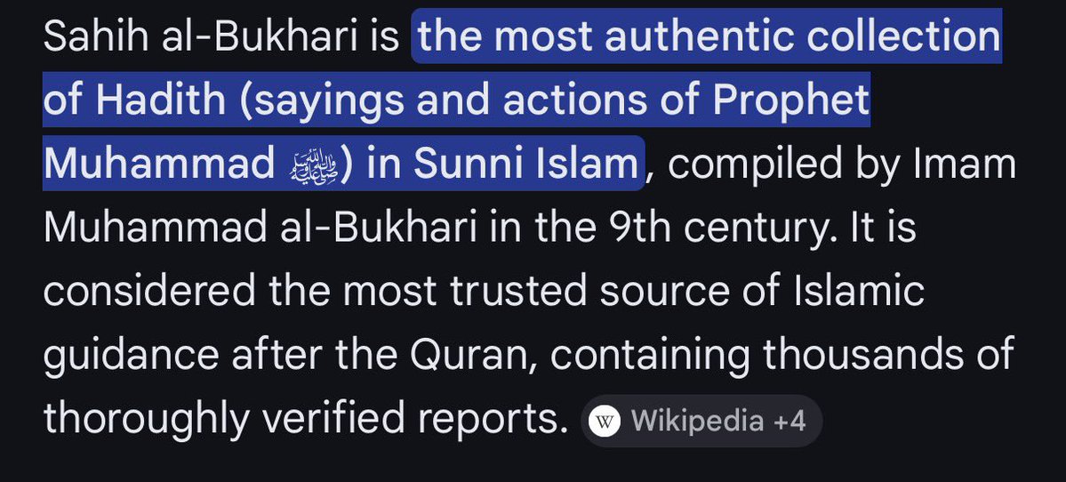 Davidovich Jr. tweet media