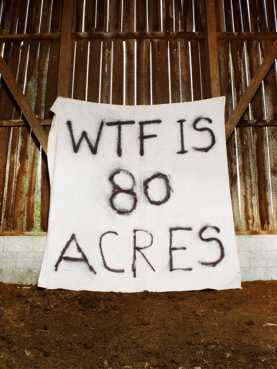 Treaty Oak Revival tweet media