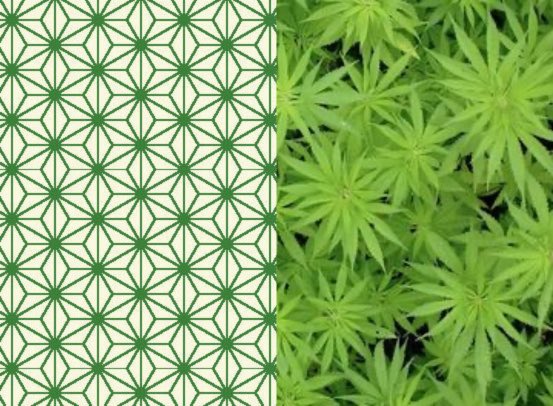 Yuuki/ Highwide tweet media