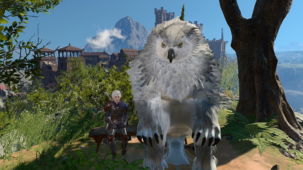 (드루이드였던)아울베어 tweet media