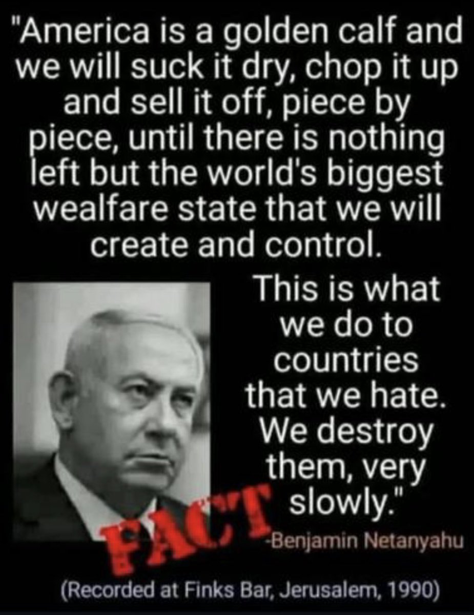 Annika Jost tweet media