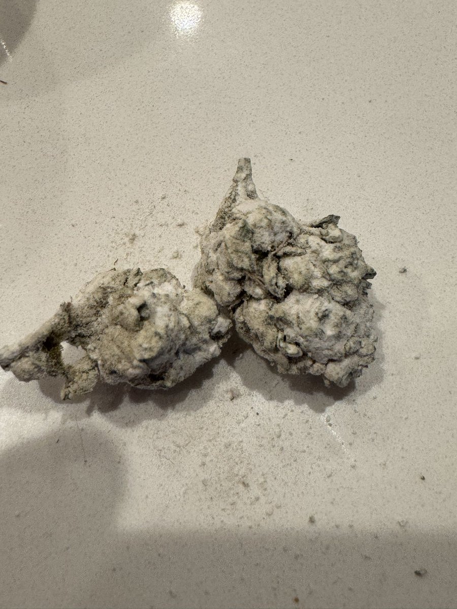 chuckstaaaaa tweet media