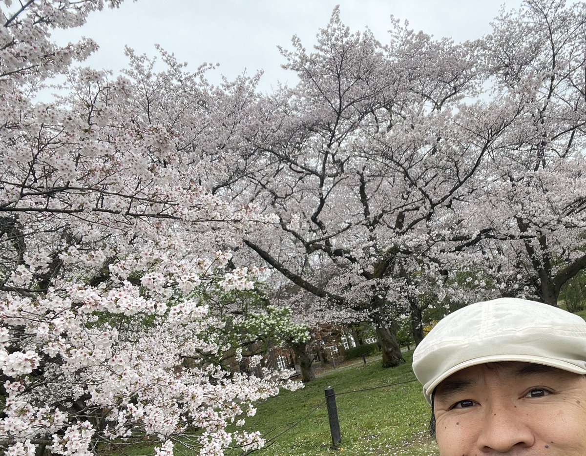 micasa_micasa's tweet photo. 皆さんおはようございますmicasaです😊
本日も出店は府立植物園さん☔️🚚☔️
桜は満開です🌸
雨ですが是非ご来園くださいね〜
誰のために生きるの?micasaは今日も自分のために!
#どらやき #みかさ #micasa #米粉 #滋賀 #キッチンカー #あんこ #スイーツ #テイクアウト #SHOGEN #青春ラジメニア https://t.co/7QF1MdpAkm