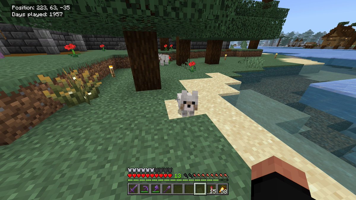 jaxon 🐈‍⬛ tweet media