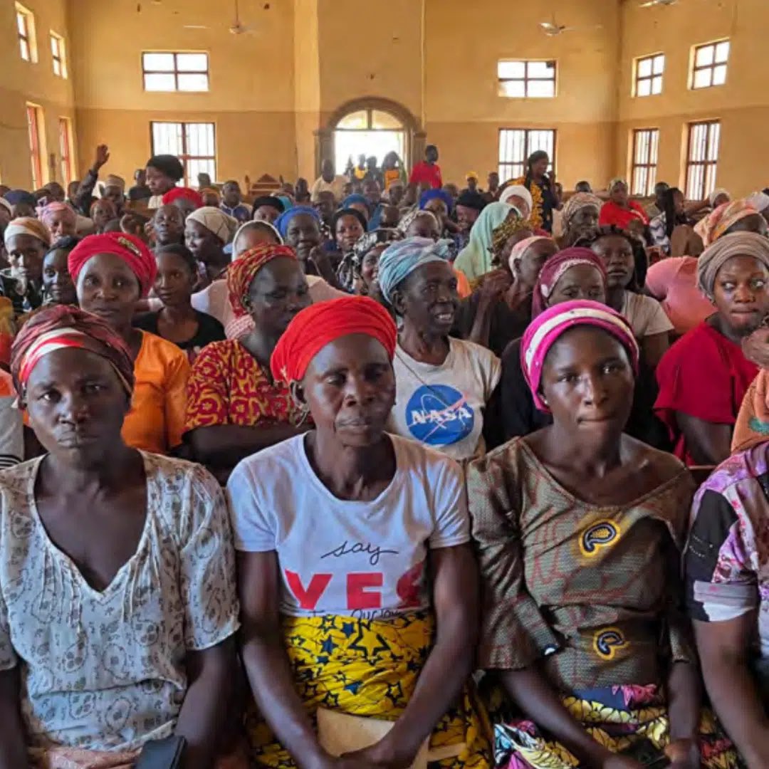 🌷 LIZZIE🌷 tweet media