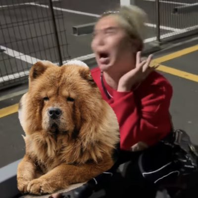 9churipo's tweet photo. #新しいプロフィール画像 https://t.co/2ROIgwWBsG
