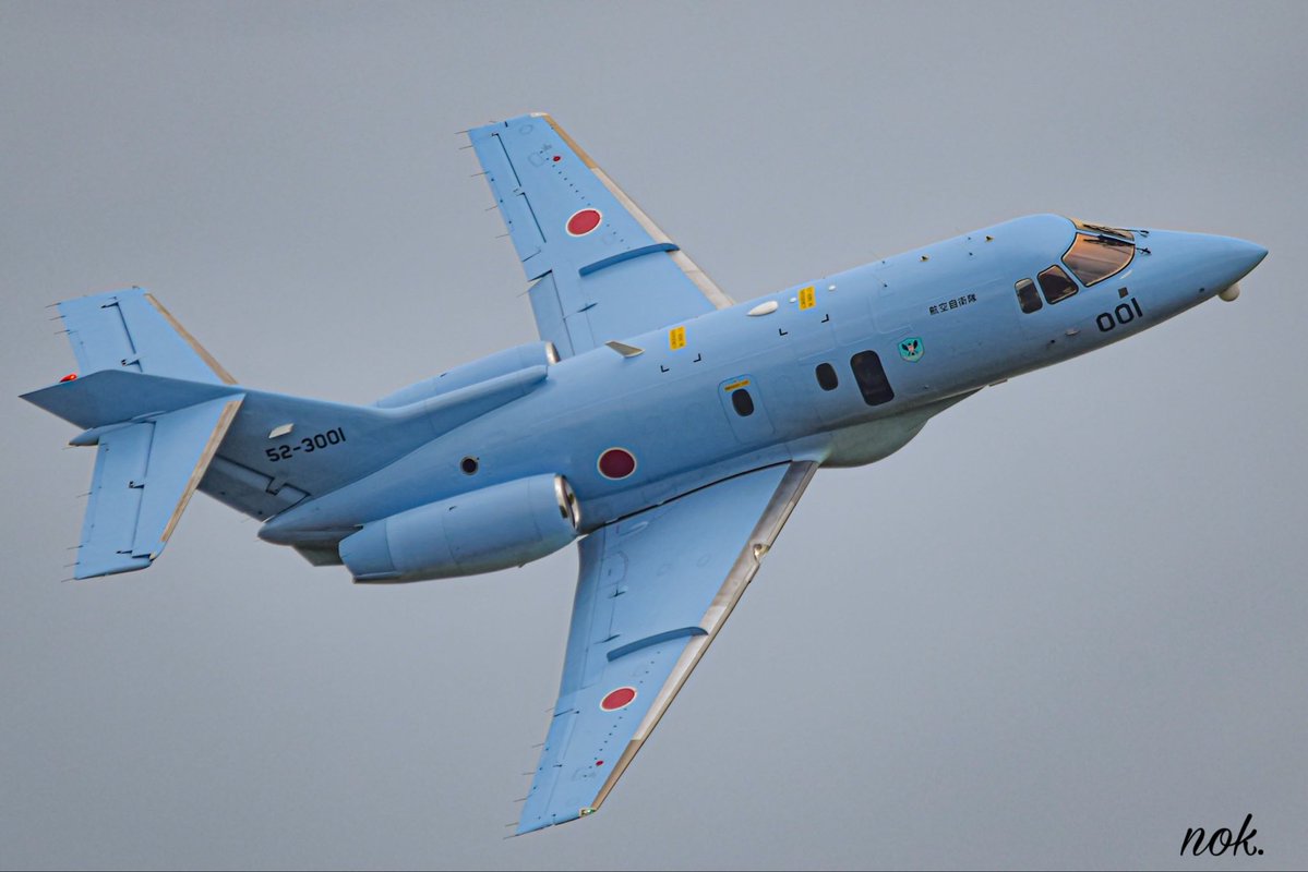 のこ。 tweet media