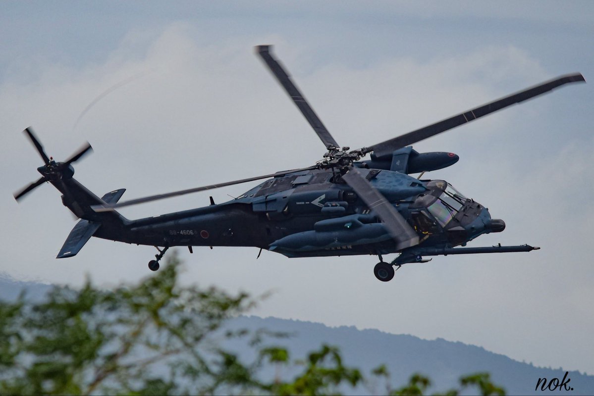 のこ。 tweet media