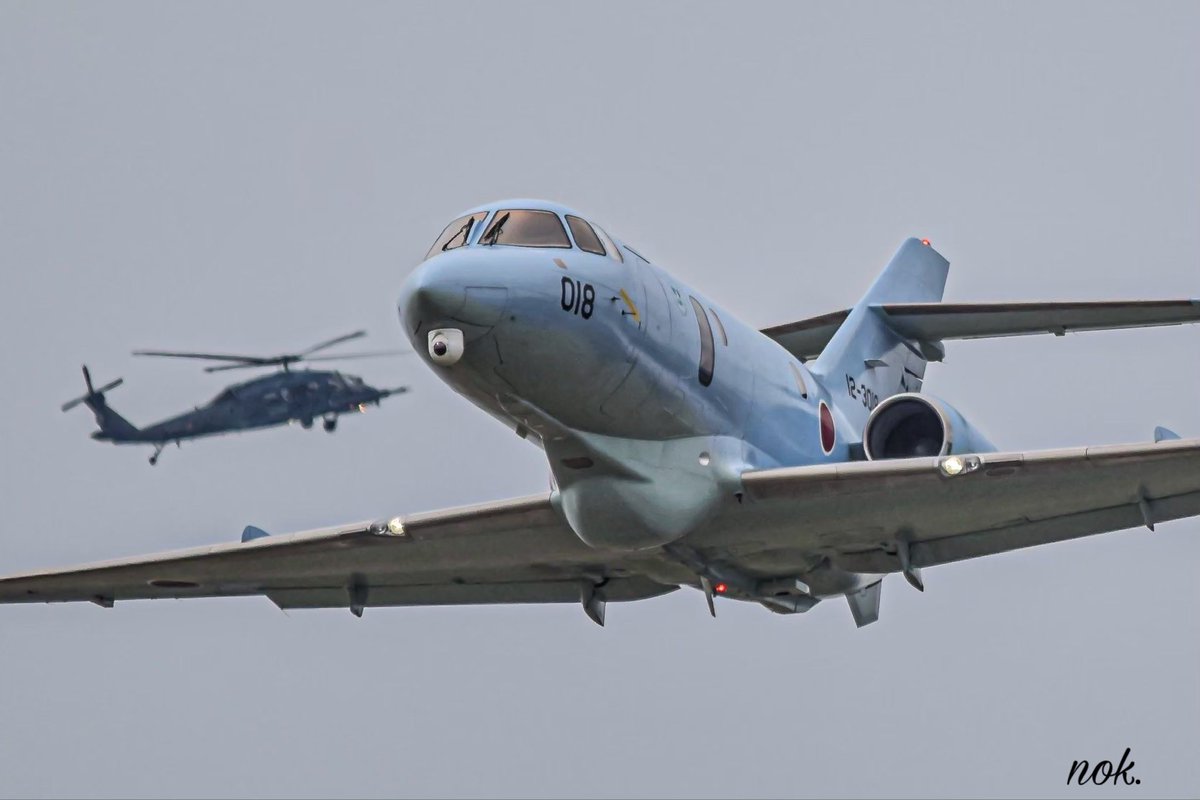 のこ。 tweet media