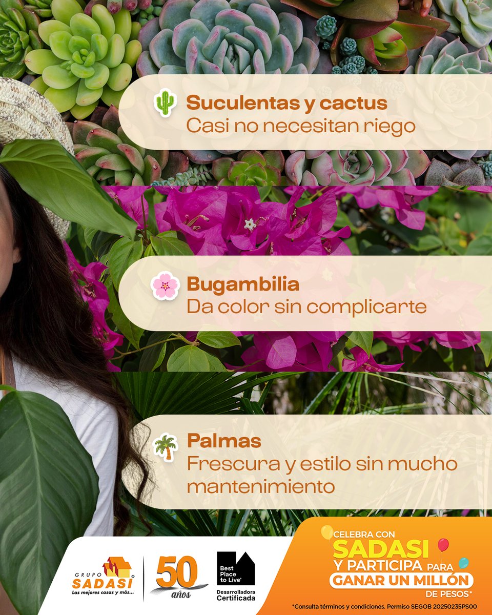 sadasimerida tweet media