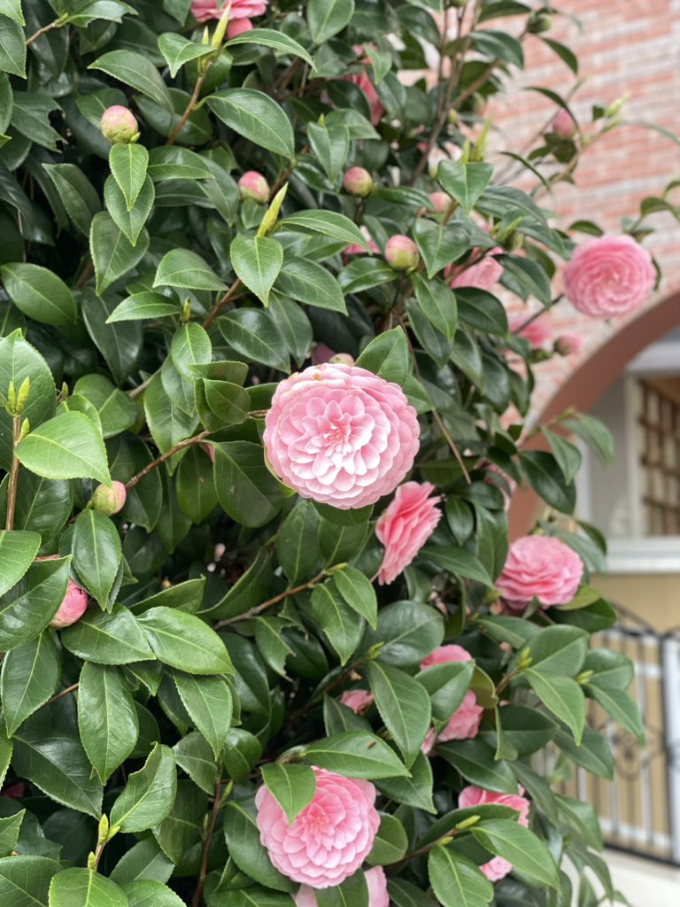 今日は山手町な