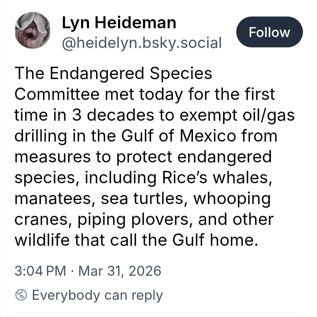 thefraudess— most powerless witch in America tweet media