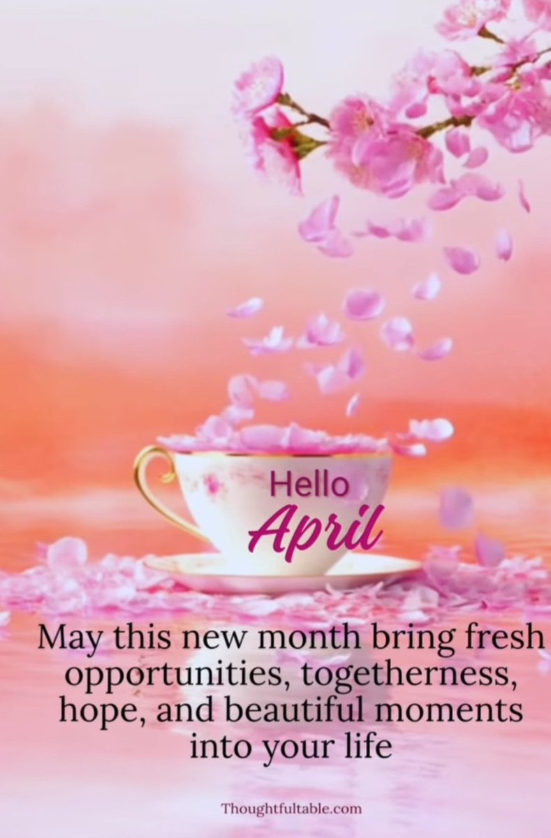 MLMANDOWARA🇮🇳🇮🇳 tweet media