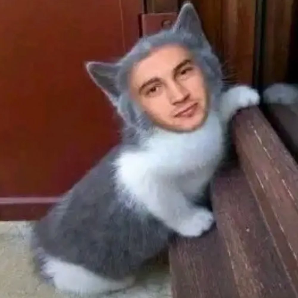 🧟‍♂️ tweet media