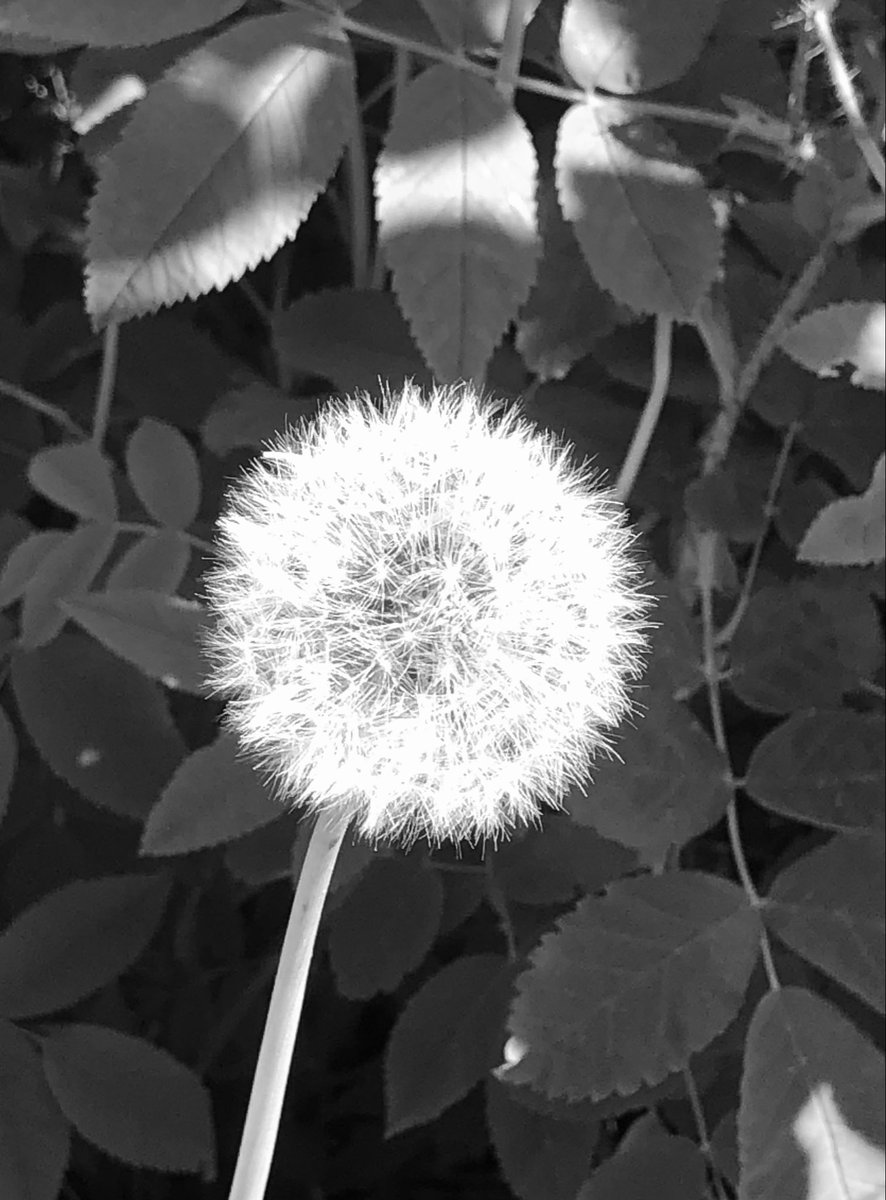 Audre Boggs tweet media