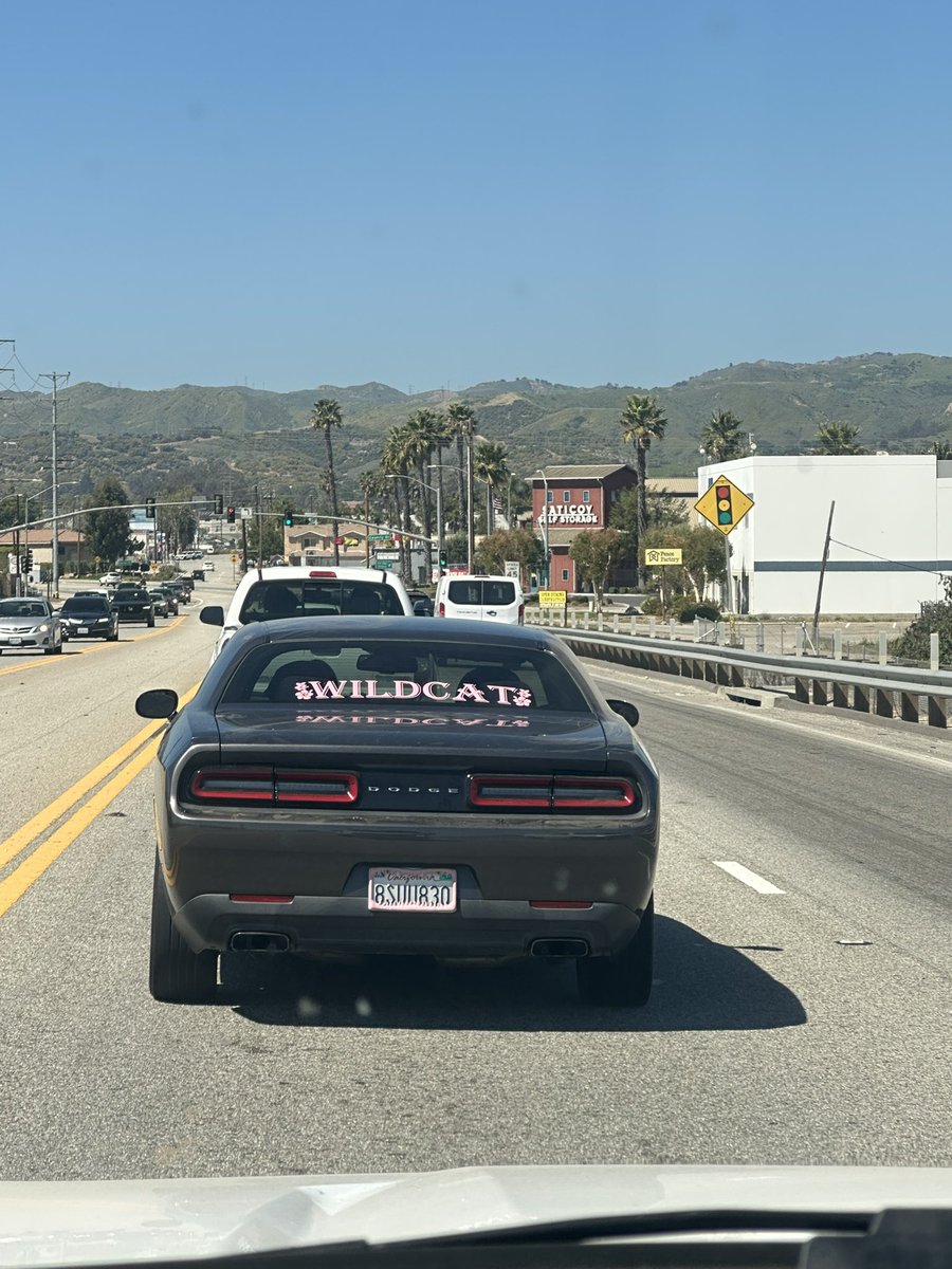 Ryform999's tweet photo. @I_AM_WILDCAT @katsuageage_1 Why u whippin the SRT then https://t.co/MHVXVhgGDp