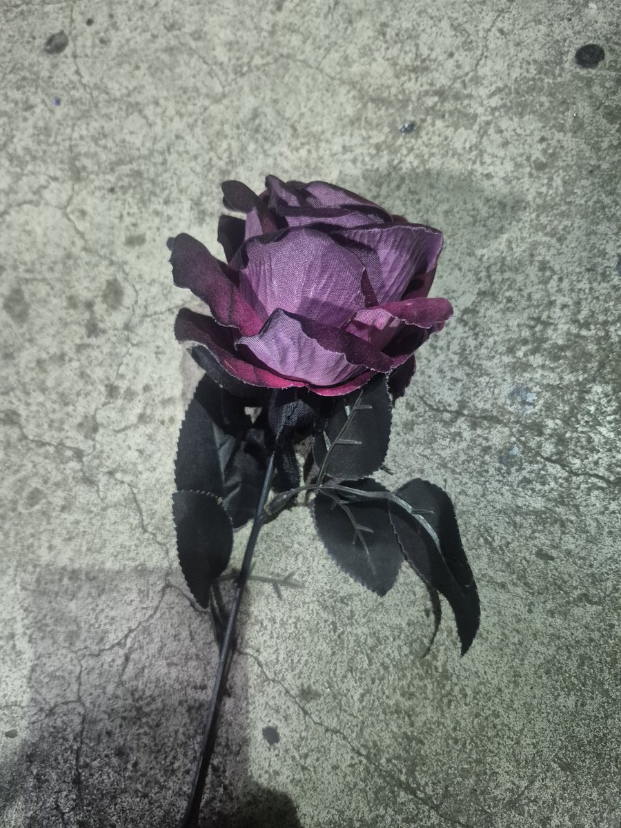 studioripple tweet media