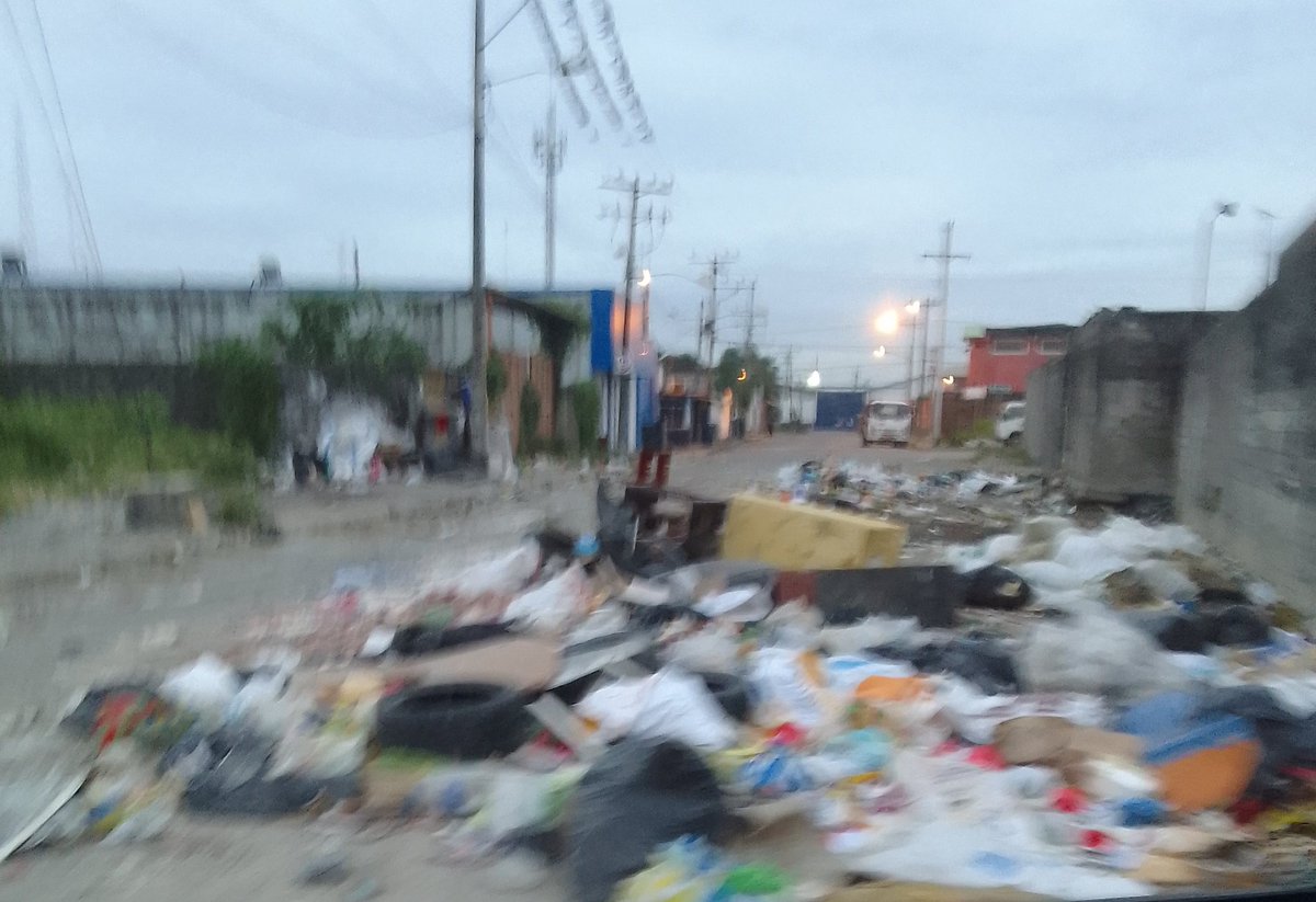 observador 593 tweet media