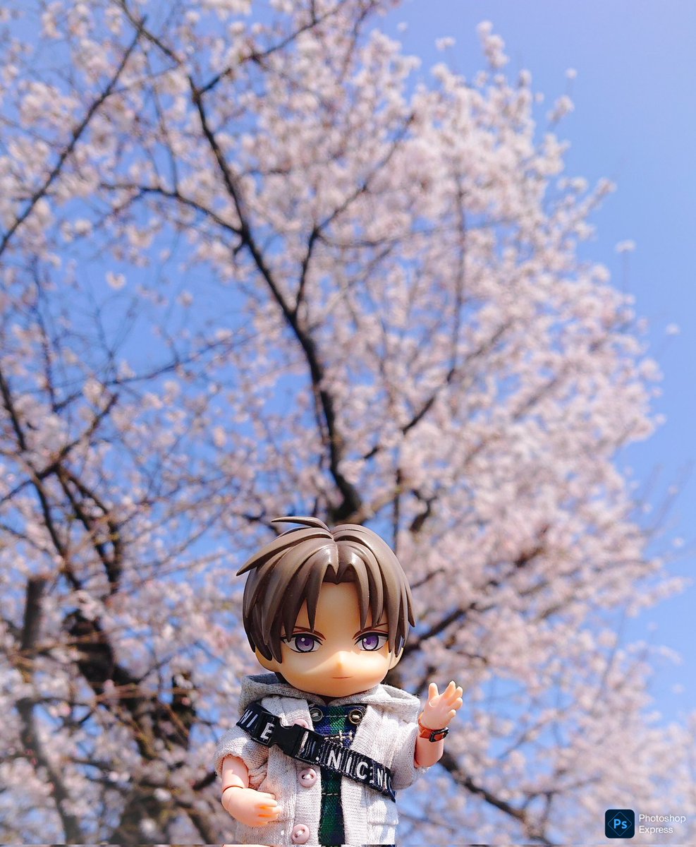 マチ子@近侍ピンを立てるんだﾖｫ📍✨ tweet media