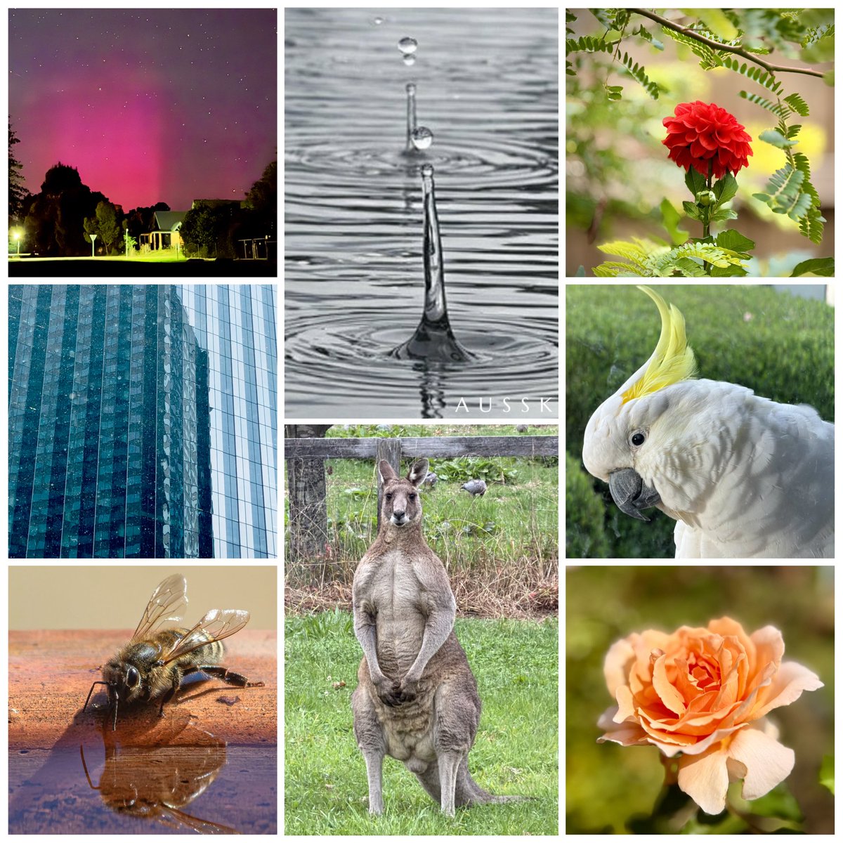 AustraliaSkynWeather tweet media