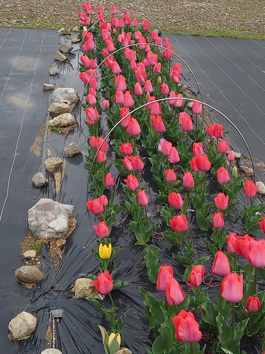 松ちゃん 【いつも感謝です。】 tweet media