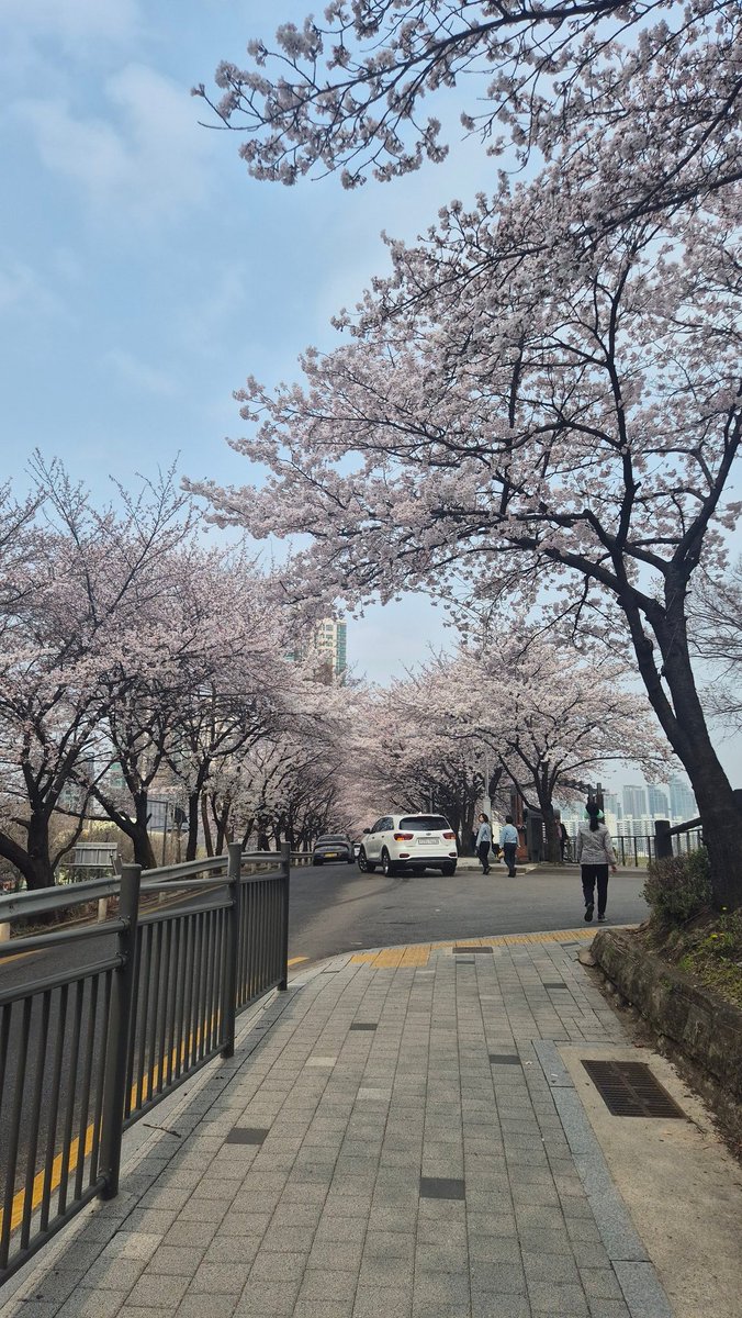 땅콩🥜 tweet media