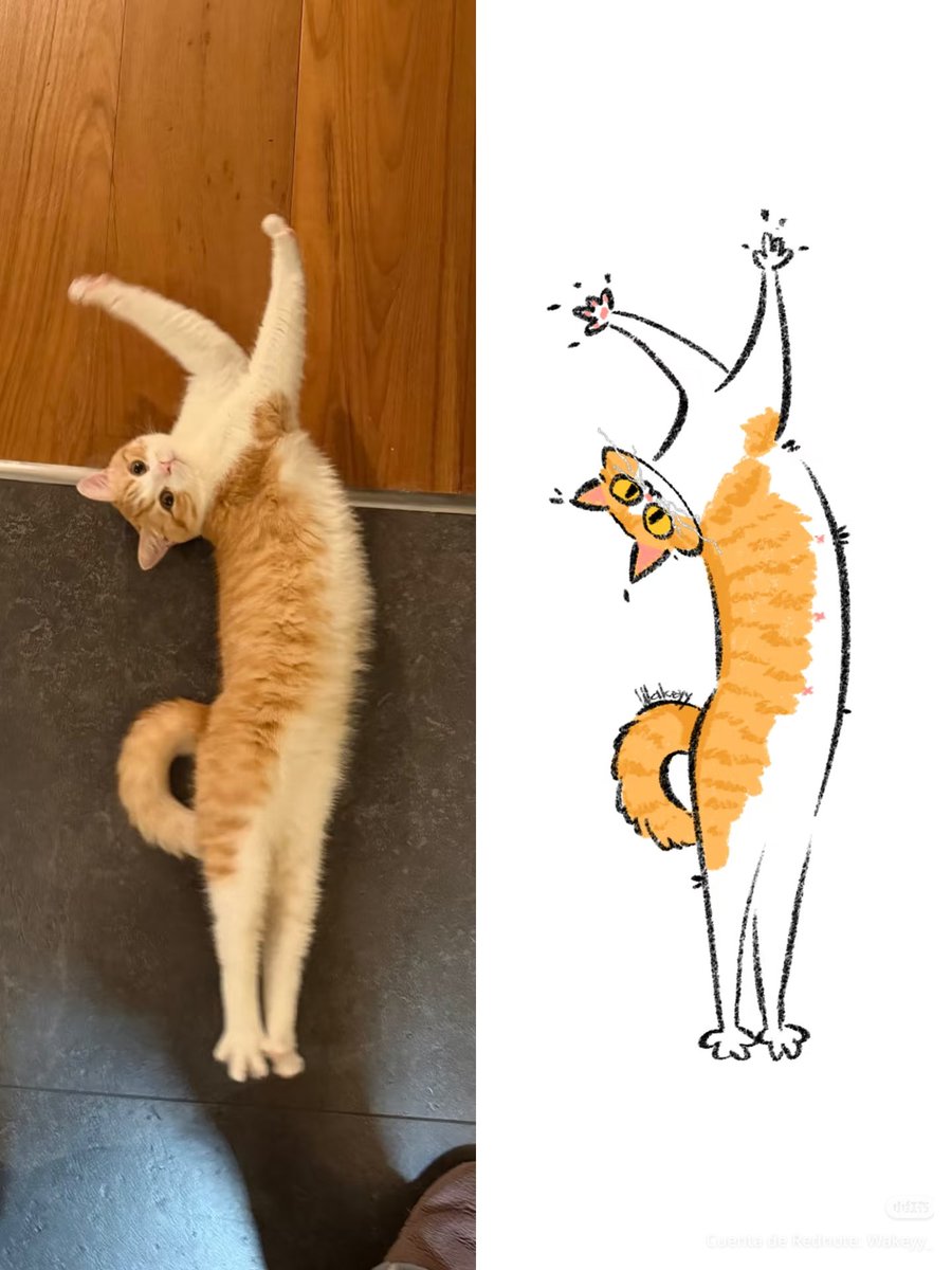 daily post tweet media