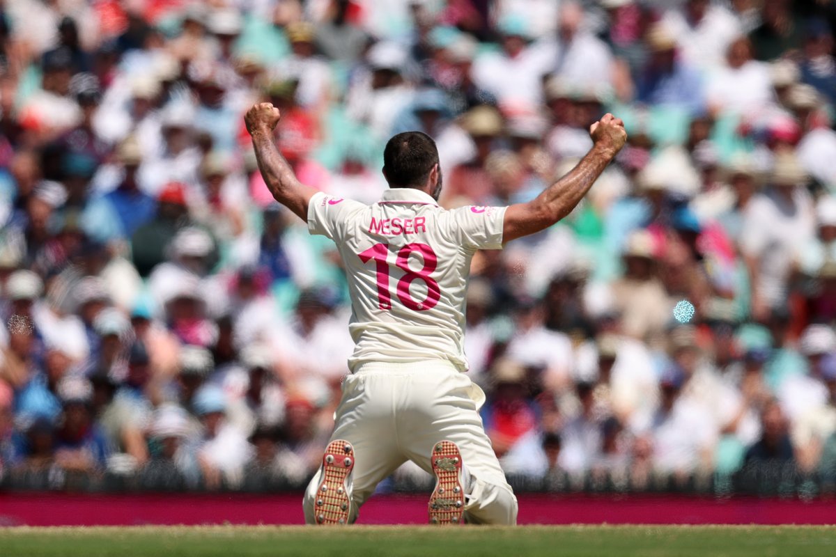 Queensland Cricket tweet media