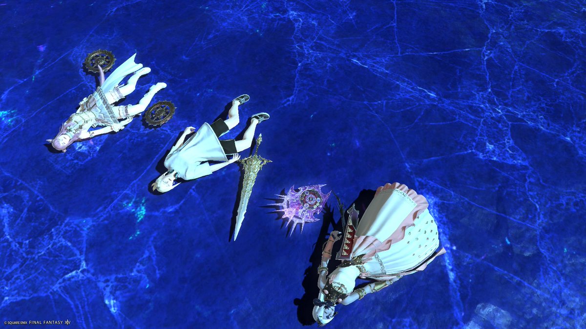 S.Shiro neko@へたで ごめんね tweet media