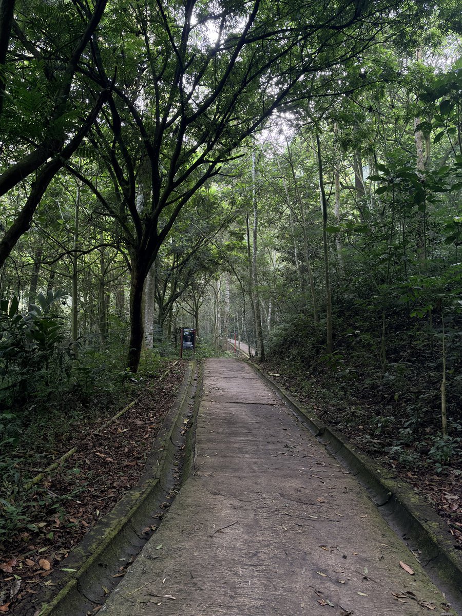 dalaa 🐰 tweet media