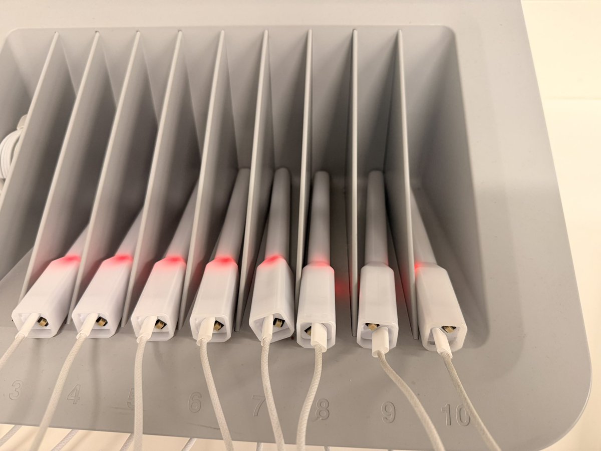 ZelladorPico🌸|👽🥒|🐏|🔮💢|🐕⛩️🌺|🌼🐤|💚🌌|⚙️👍 tweet media