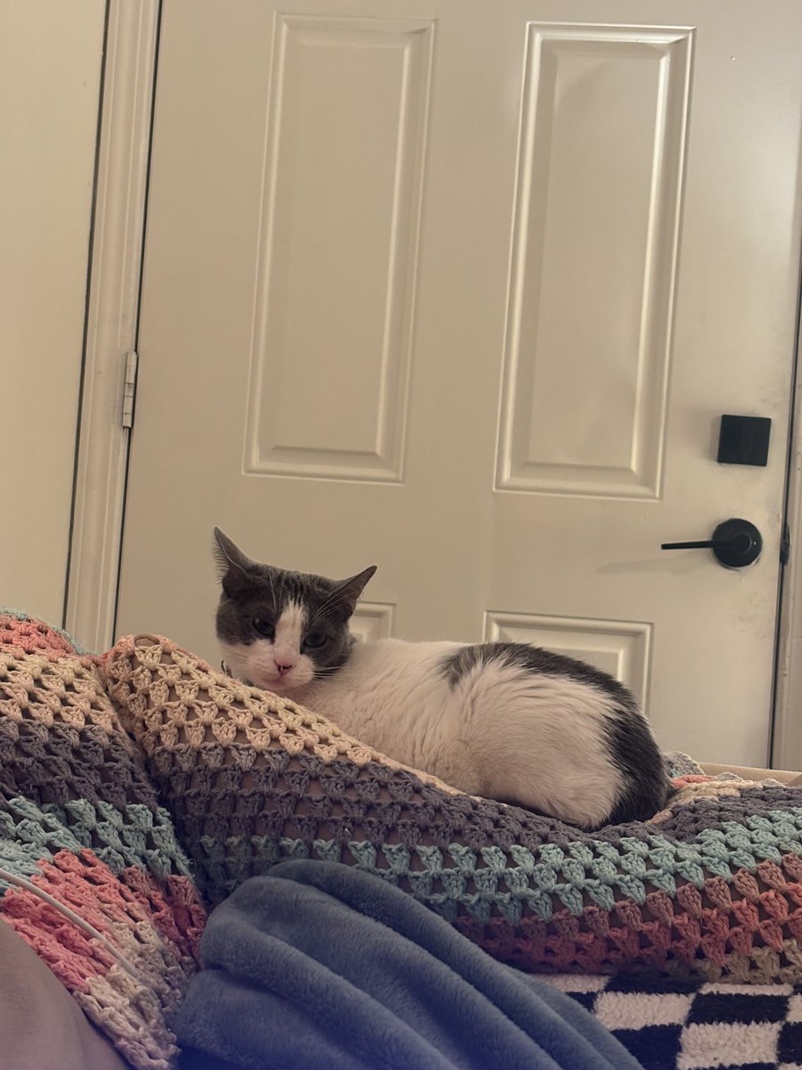 ‎⋆. 𐙚˚࿔ lilly 🧸 NOW tweet media