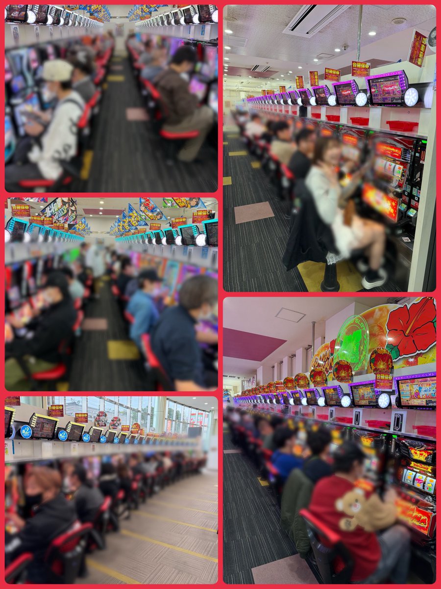 プラスメイド公式 tweet media