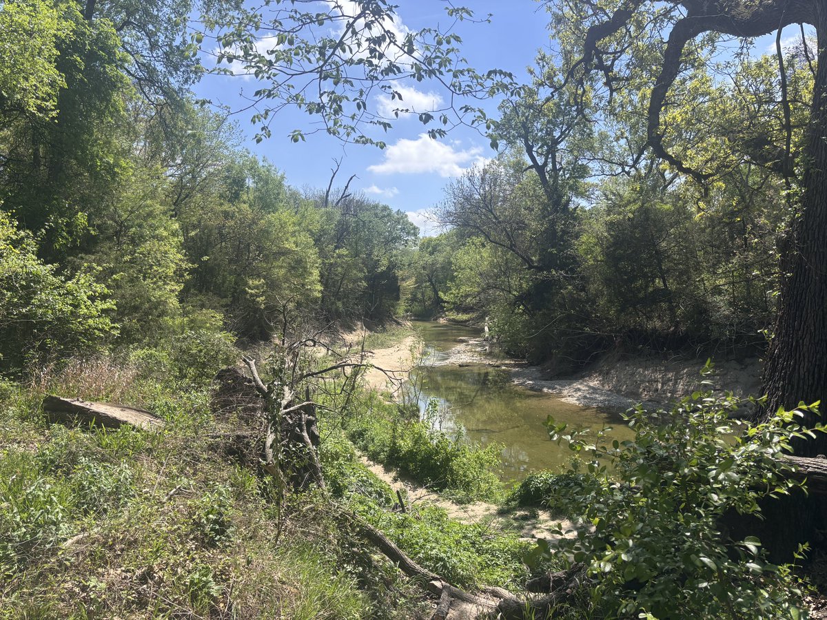 Neci Archer - pocket slut tweet media