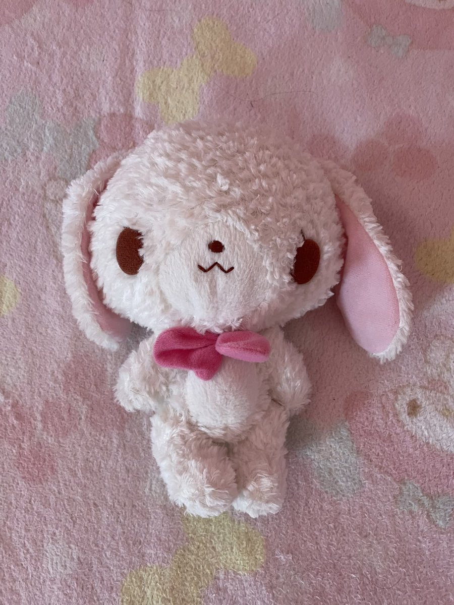 lyn 🤍 tweet media