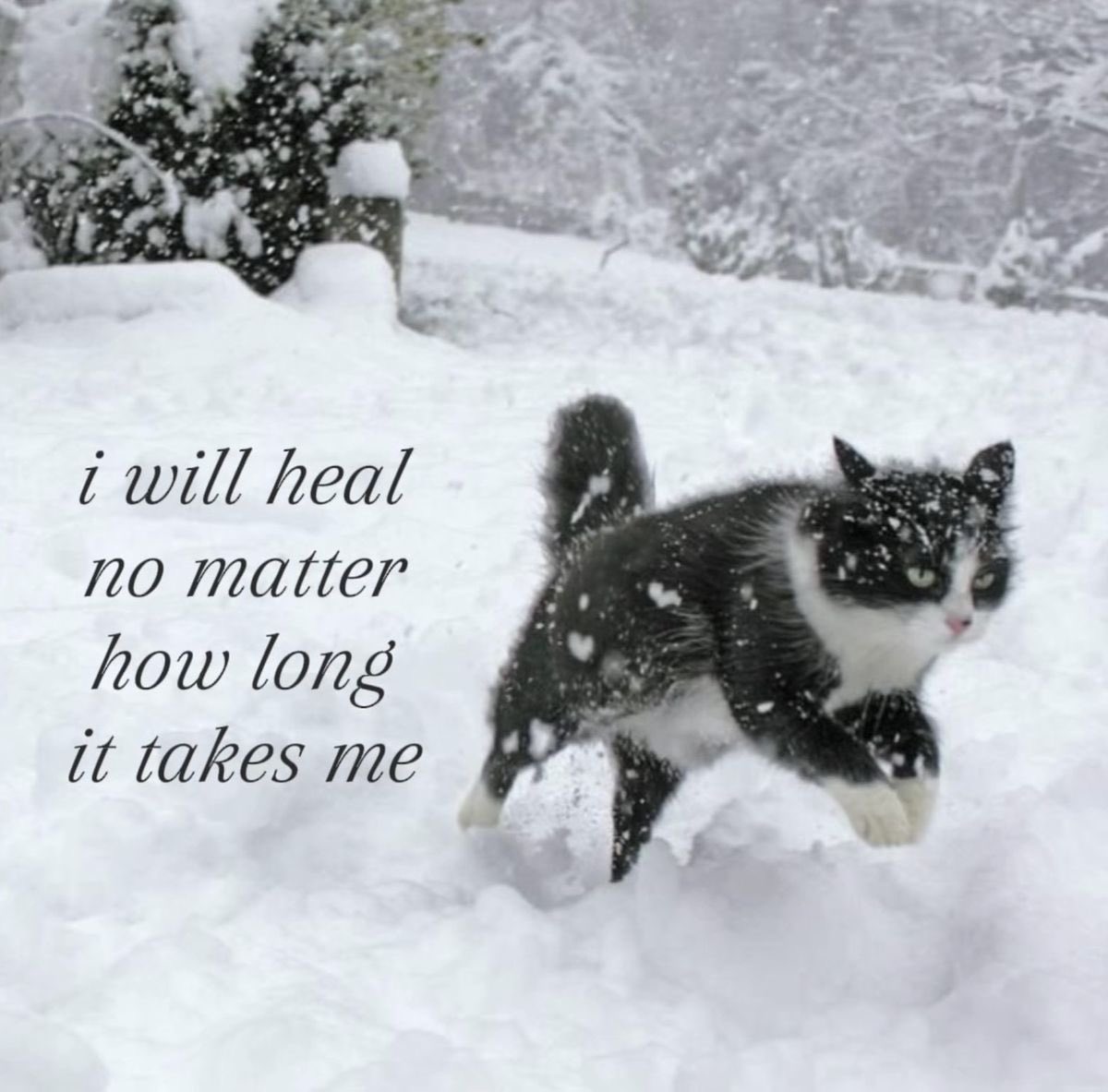 lyn 🤍 tweet media