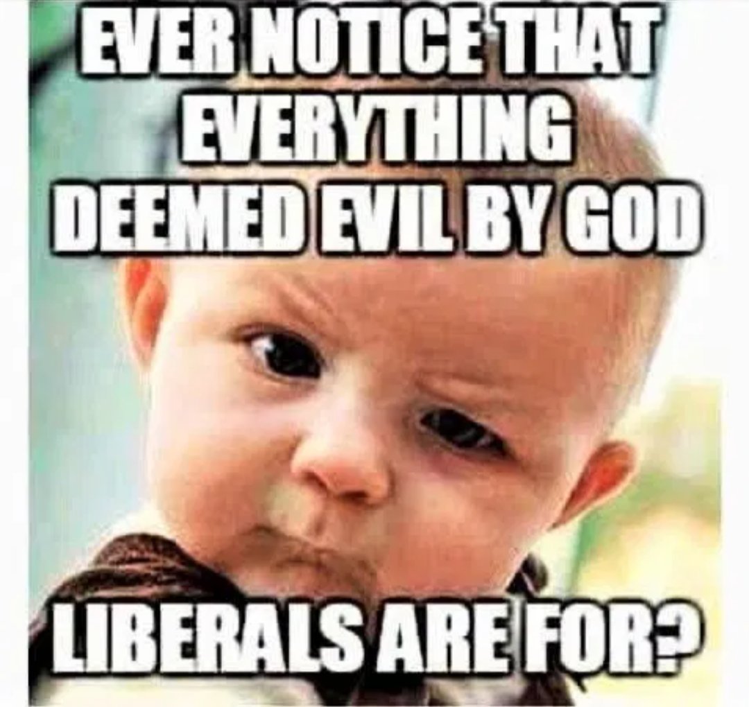 wolf_patriot737 tweet media