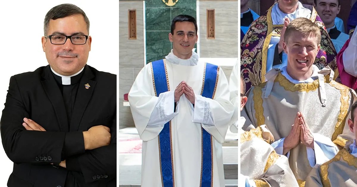 Sachin Jose tweet media