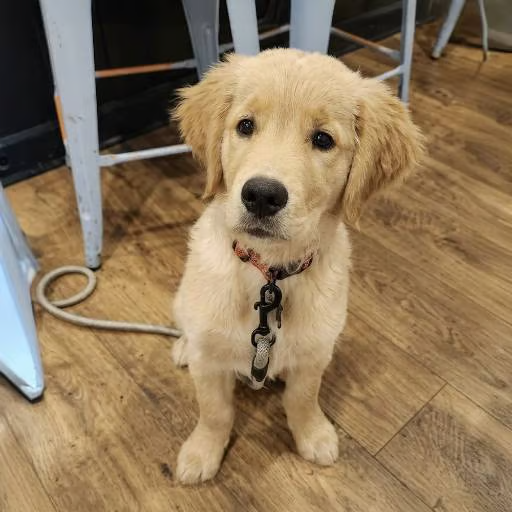 Bone her tweet media