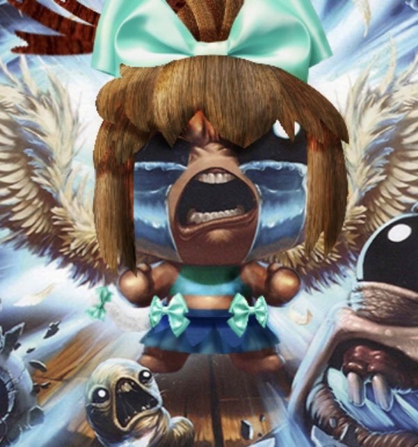 pollip 🌻 tweet media