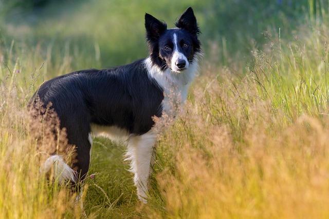 Ryan Bowden tweet media