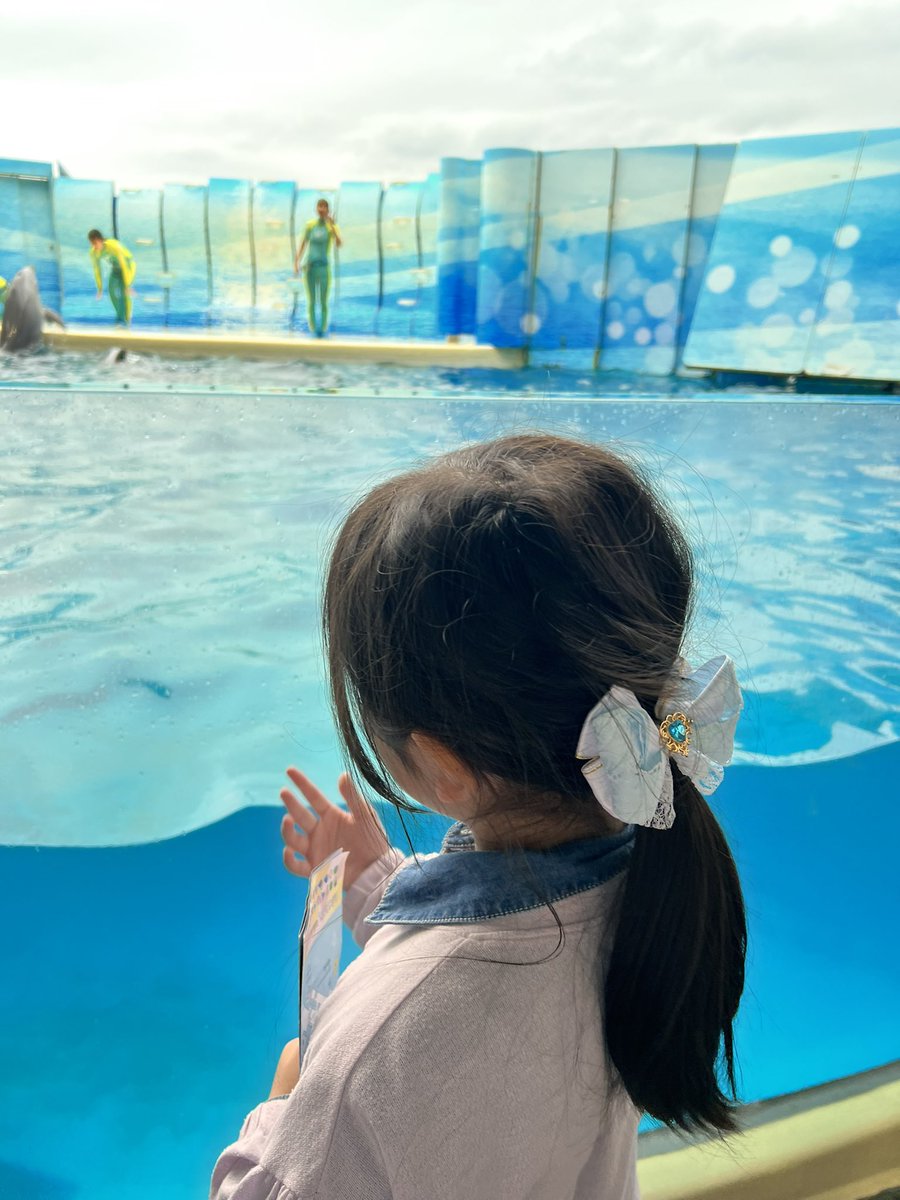 dorcus_laboratory(どるら) tweet media