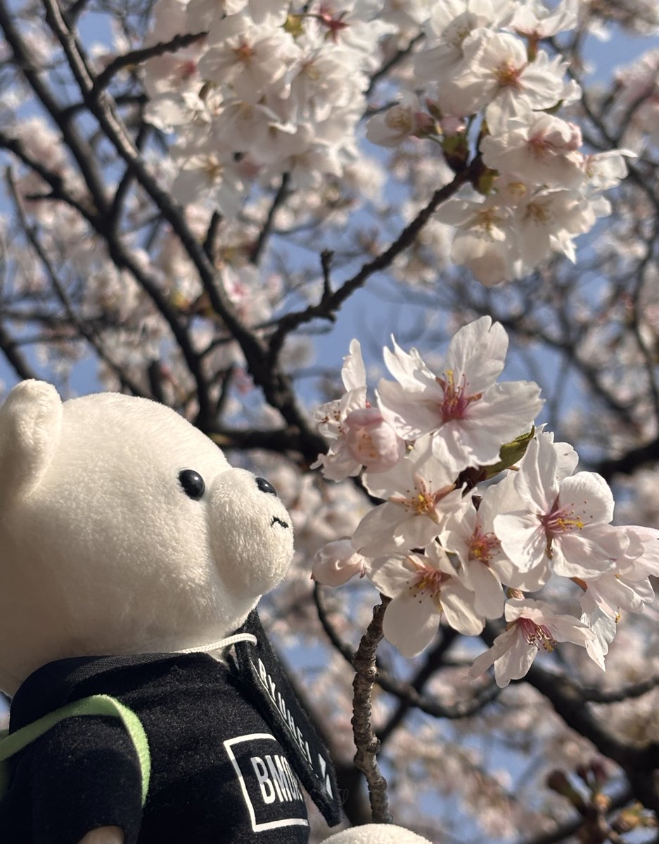 🐲🐲🌞にこ🐲🐲🌞 tweet media