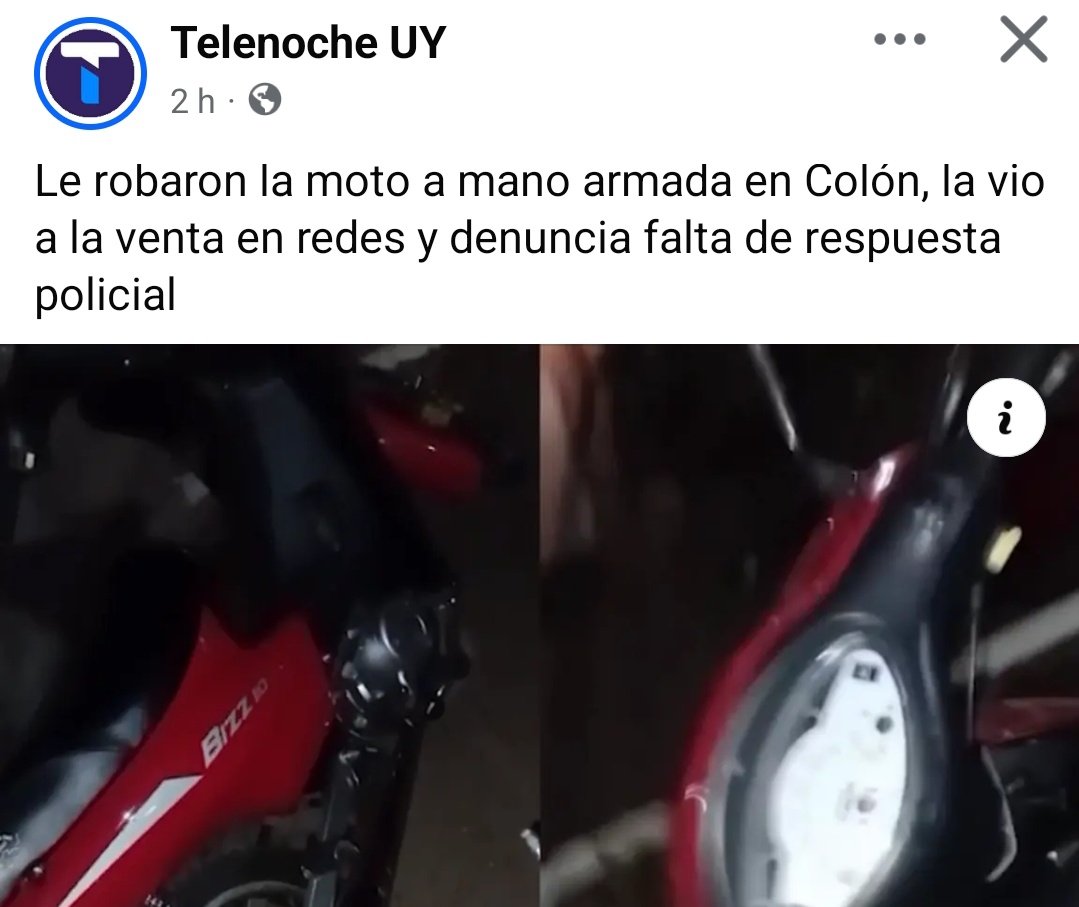 Silvana De Francesco tweet media