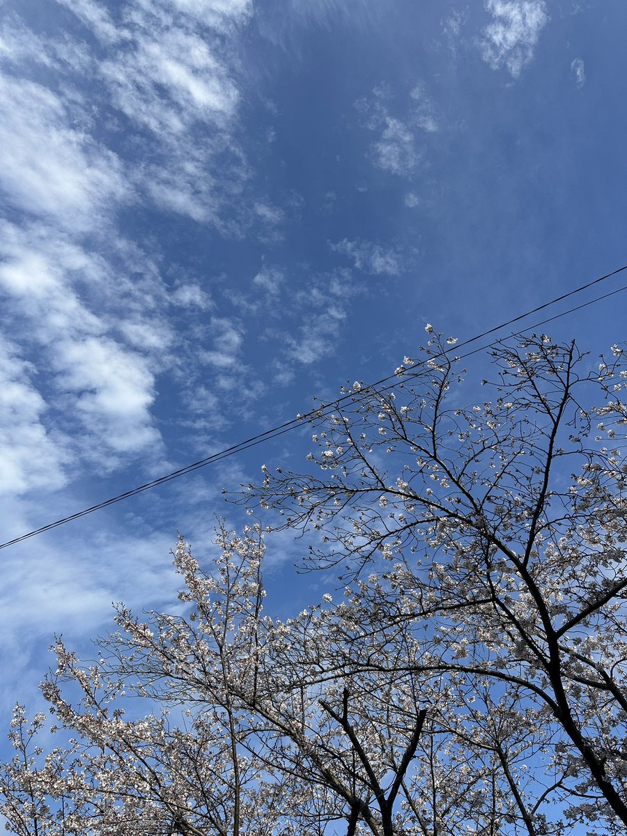 山下昌吾 tweet media